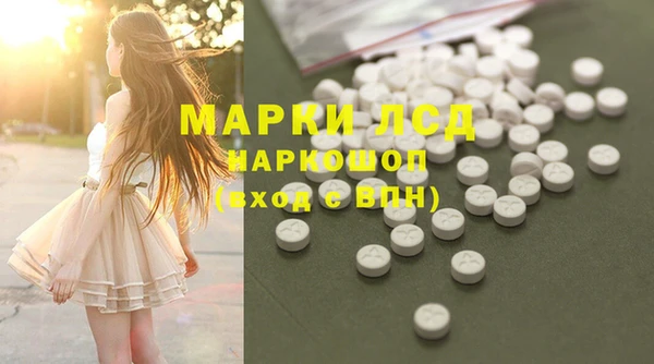 прущие грибы Арсеньев