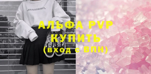 сатива Аркадак