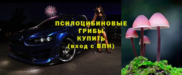 сатива Аркадак
