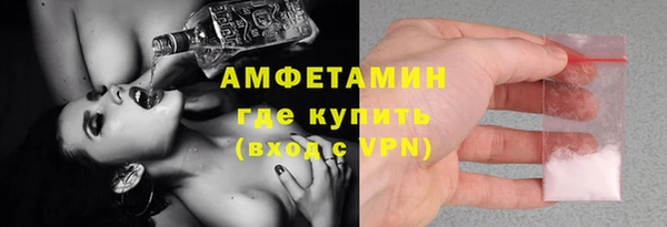 сатива Аркадак