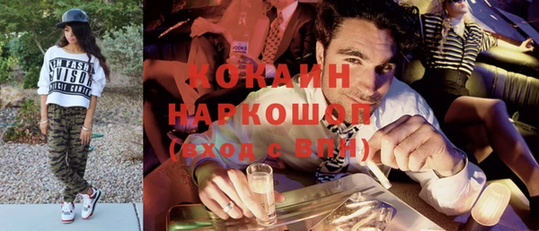 сатива Аркадак