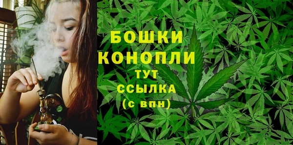прущие грибы Арсеньев
