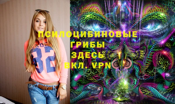 сатива Аркадак